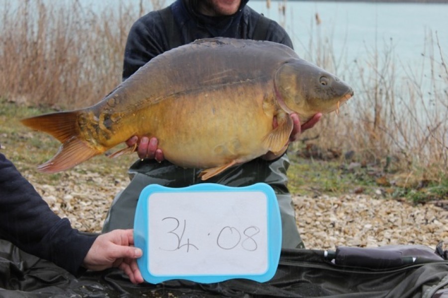 Fish 58 - Stocked at 34lb 8oz