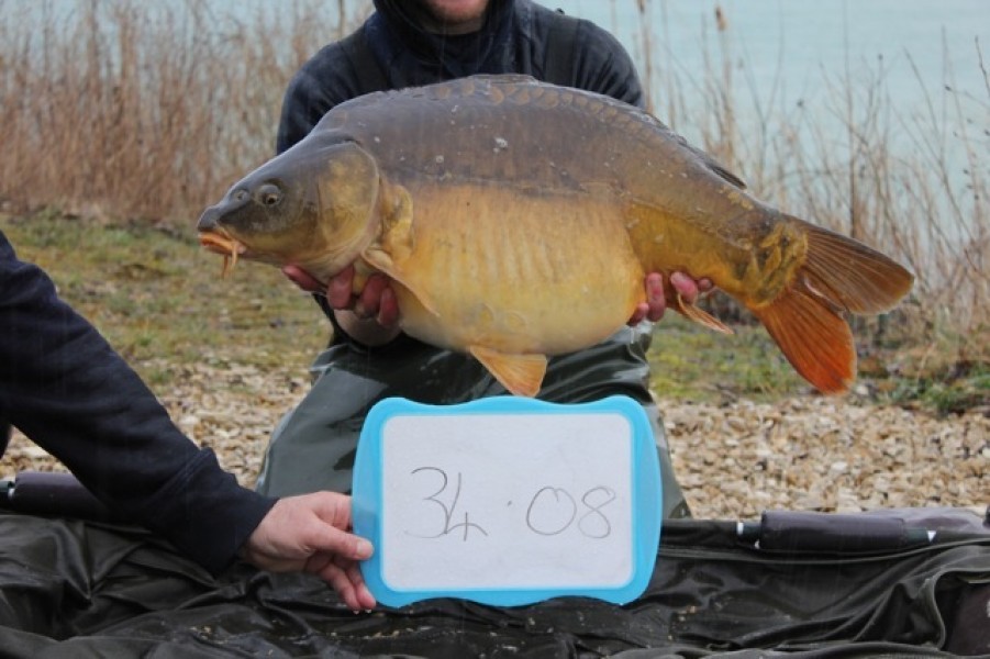 Fish 58 - Stocked at 34lb 8oz