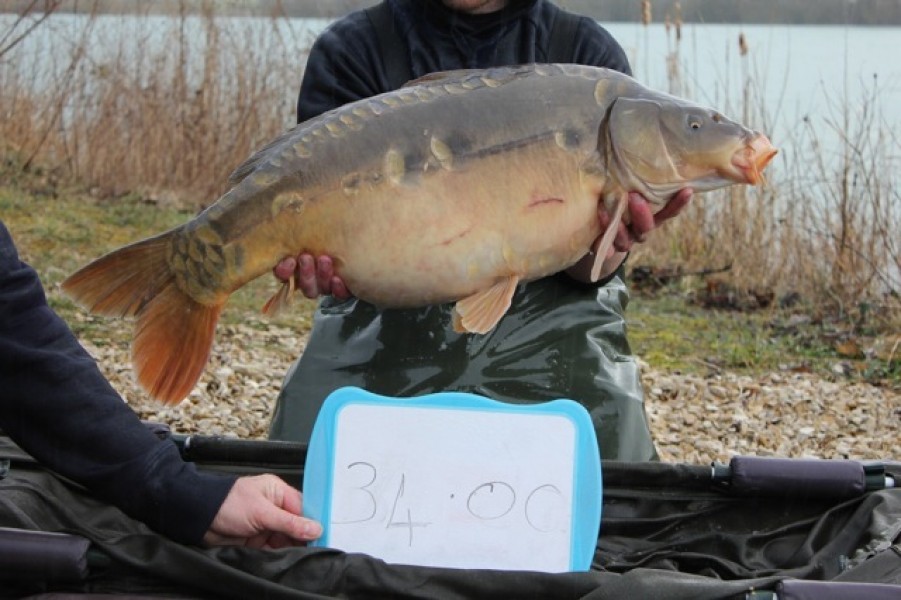 Fish 64 - Stocked at 34lb