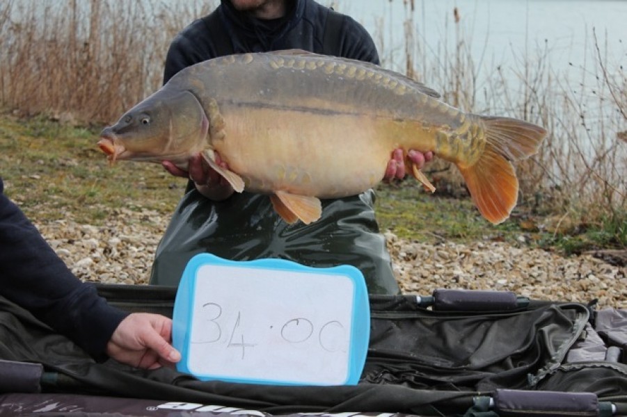 Fish 64 - Stocked at 34lb