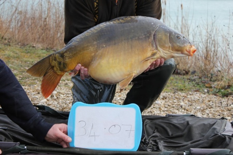 Fish 65 - Stocked at 34lb 7oz