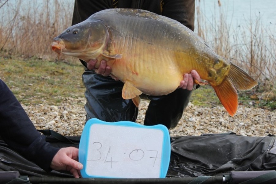 Fish 65 - Stocked at 34lb 7oz