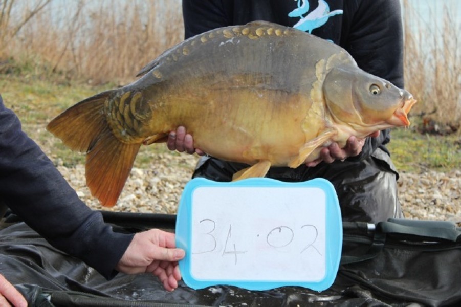 Fish 66 - Stocked at 34lb 2oz