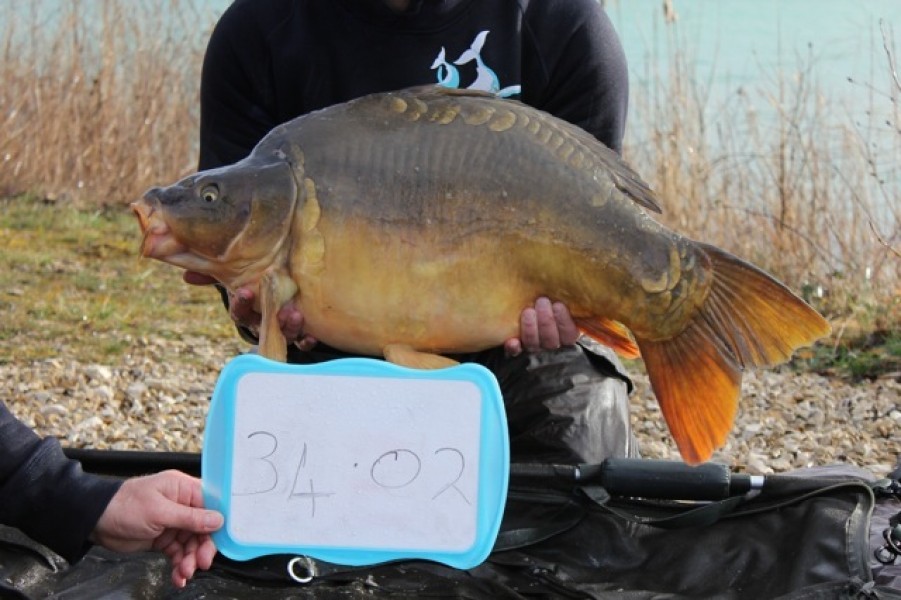 Fish 66 - Stocked at 34lb 2oz