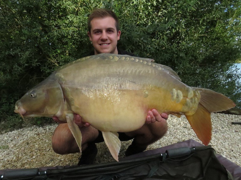 31lb August 2014