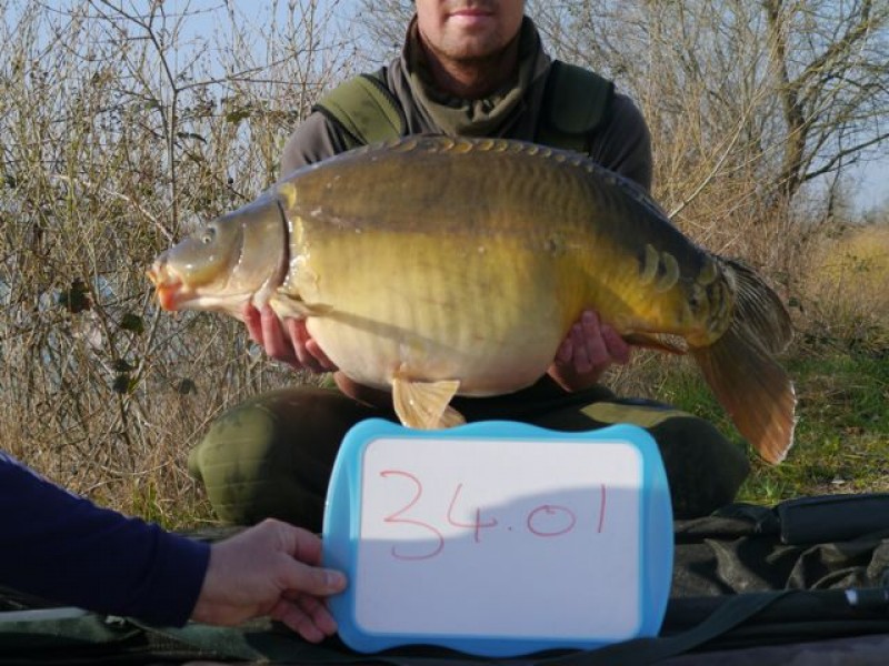 34lb 01oz