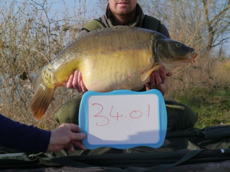 34lb 01oz