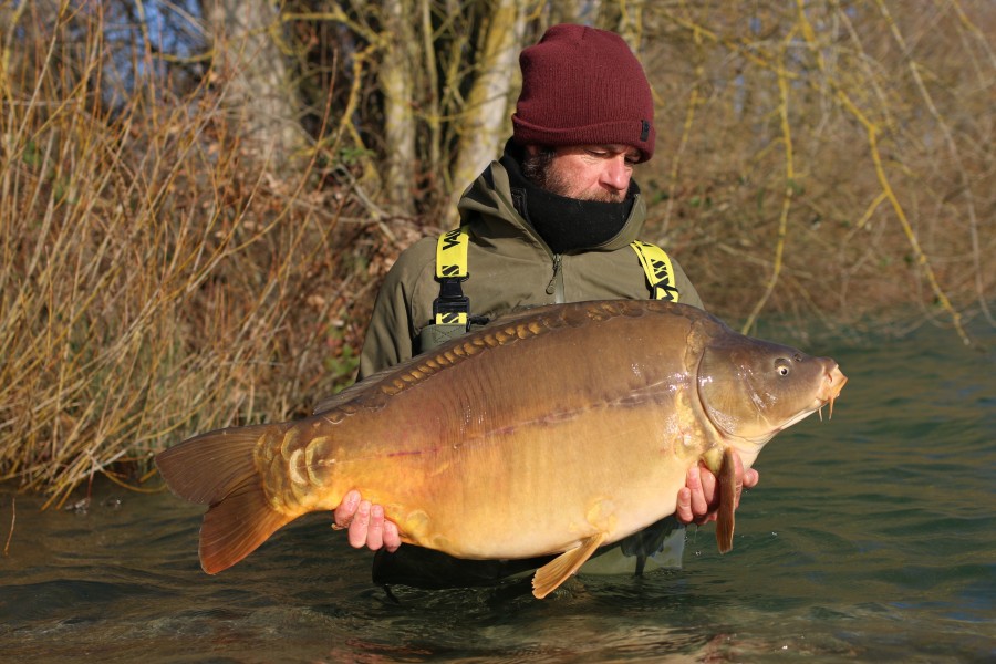 Murphy Chimera - 40lb - Tea Party 1 - 2021