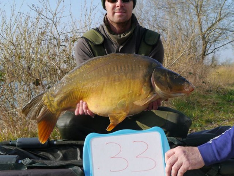 33lb