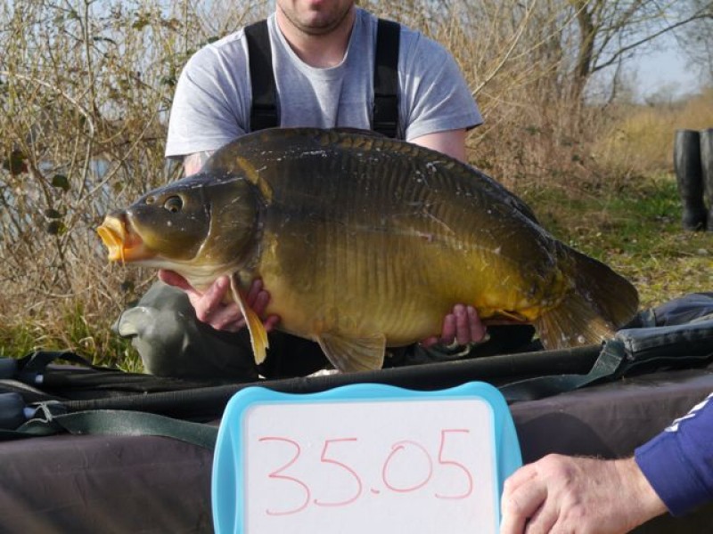 35lb 5oz