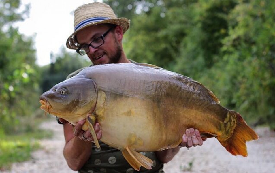 36lb 12oz Decoy August 2016