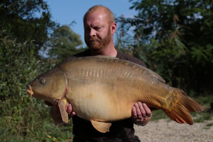 37lb 12oz Dunkerque September 2016