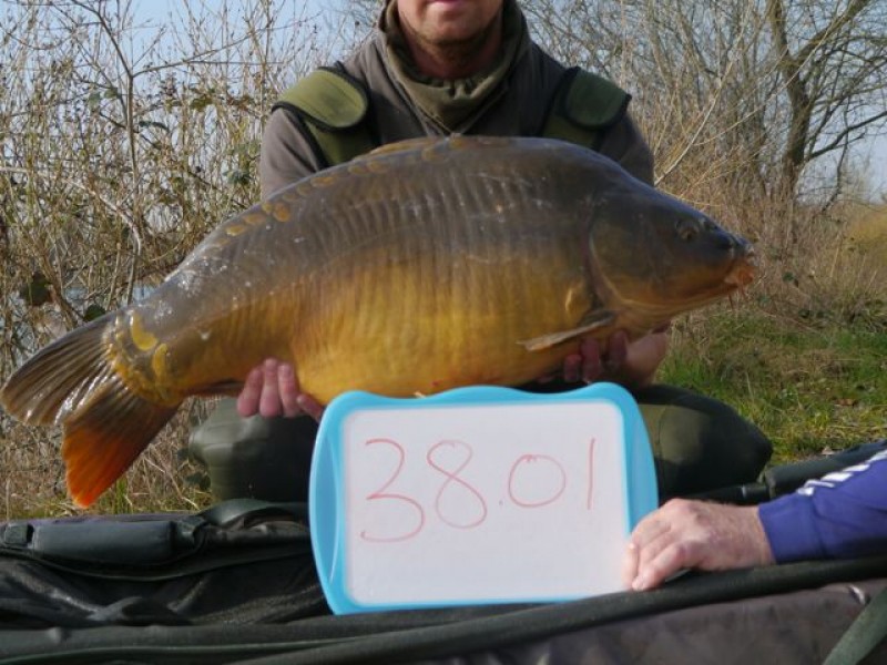 38lb 1oz