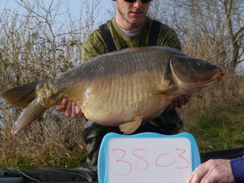 38lb 3oz