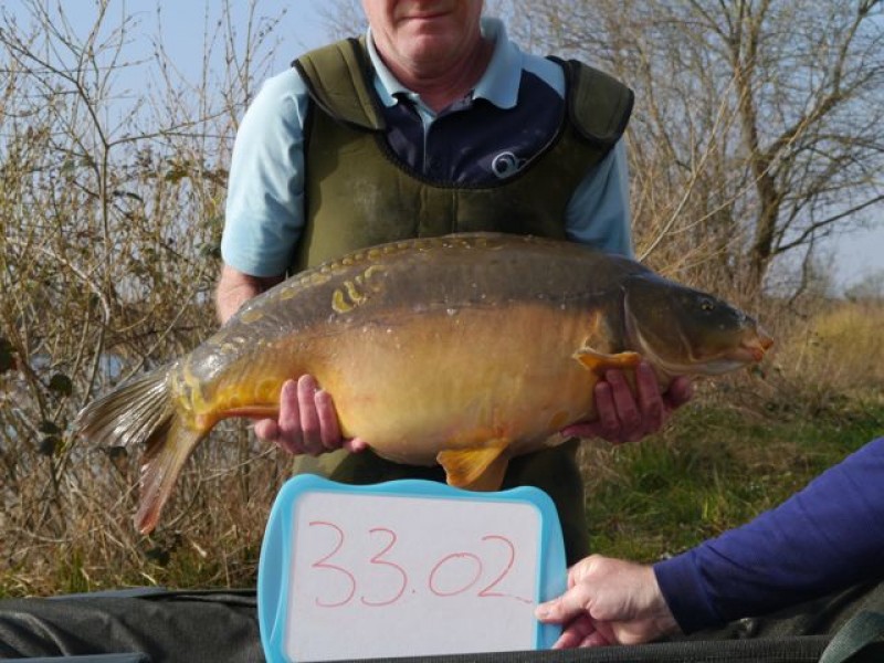 33lb 2oz