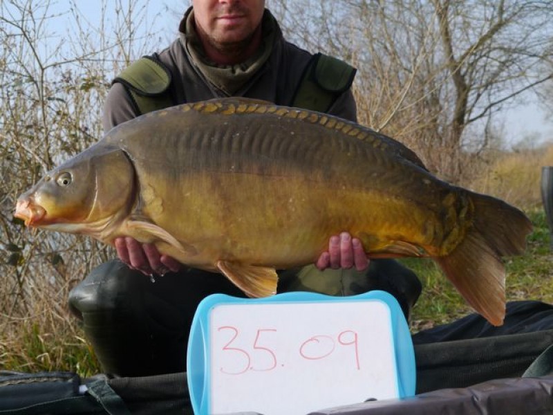 35lb 9oz