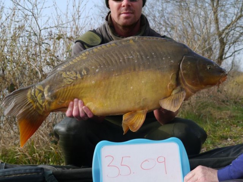 35lb 9oz