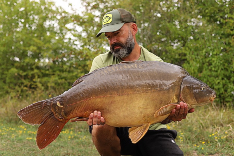 Lee Williams, 37lb 8oz, Bachelier's, 18.8.18