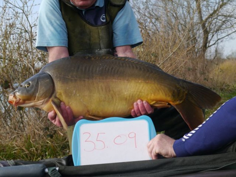 35lb 9oz