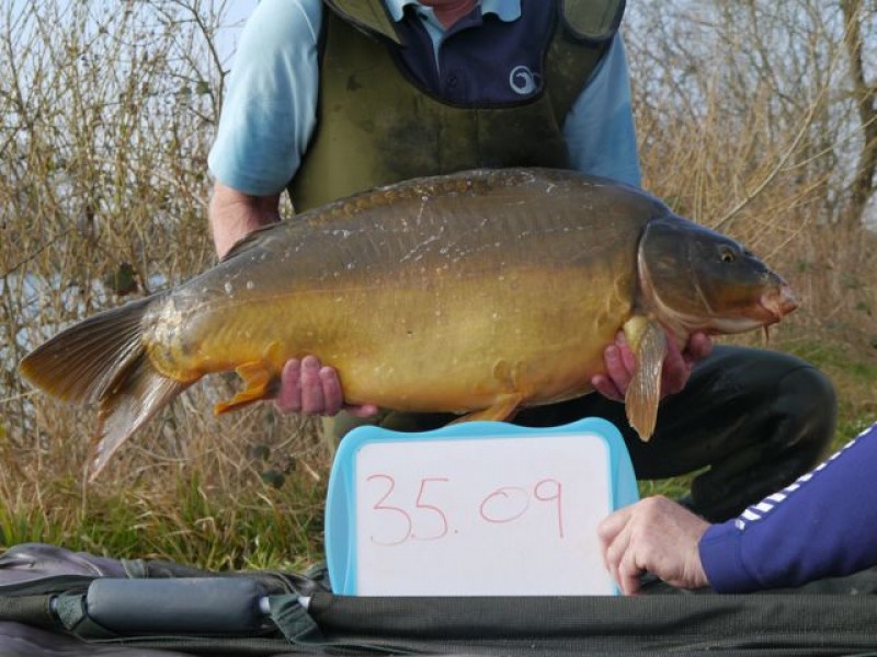 35lb 9oz