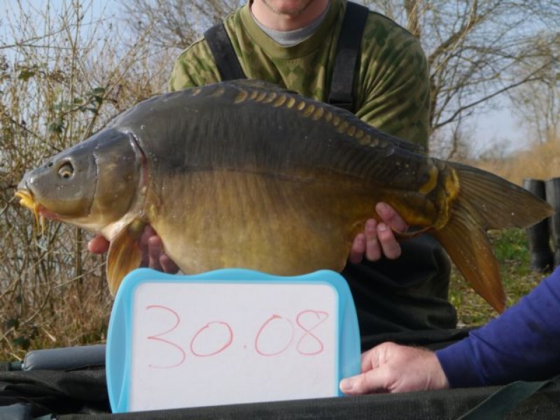 30lb 8oz