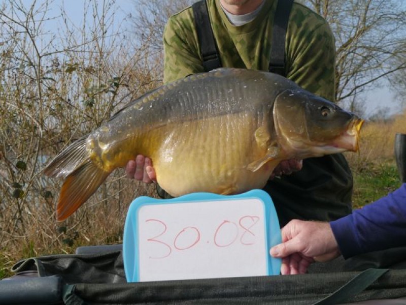 30lb 8oz