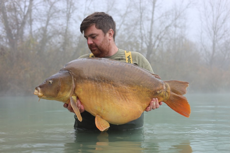 Greg Baillie - 52lb 8oz - Bacheliers - 15/11/2025