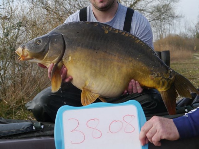 Fish 115 - Stocked at 38lb 8oz