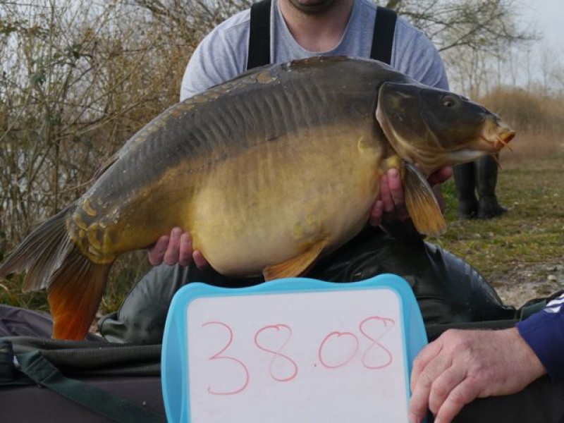 Fish 115 - Stocked at 38lb 8oz