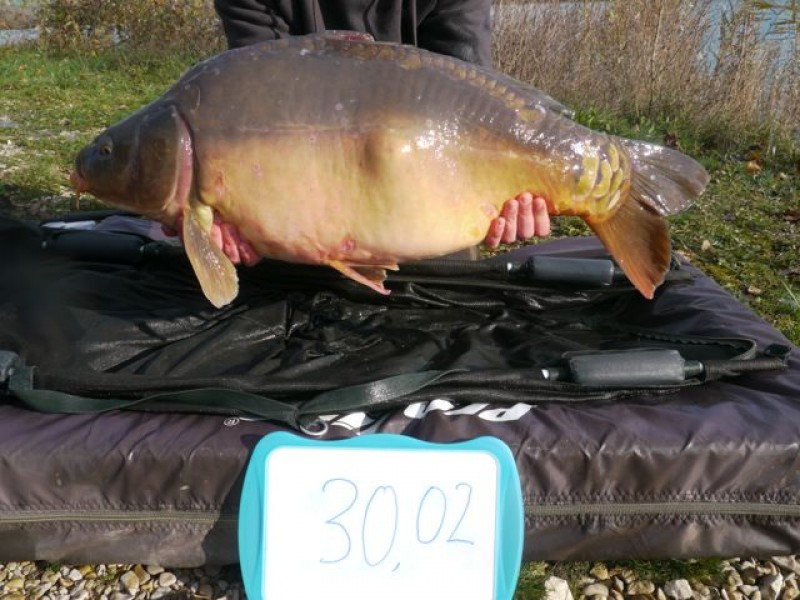 Fish 124 - Stocked at 30lb 2oz