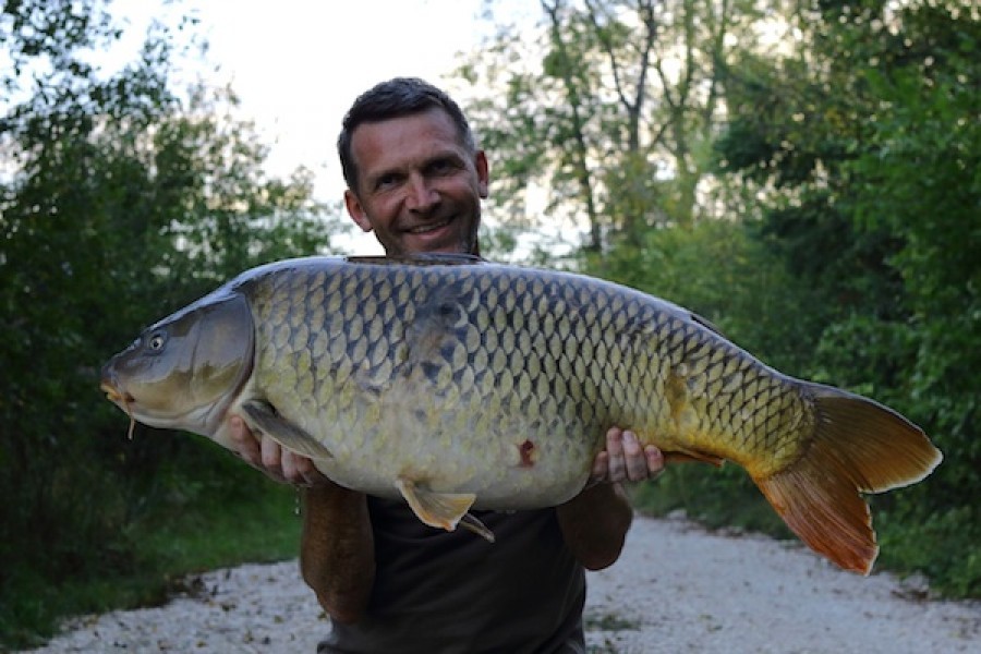 39lb 12oz Decoy September 2016