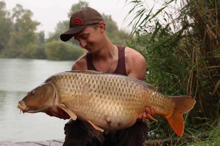 Mid 30lb Dunkerque August 2016