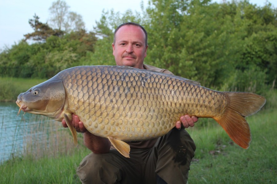 37lb 6oz May 2015