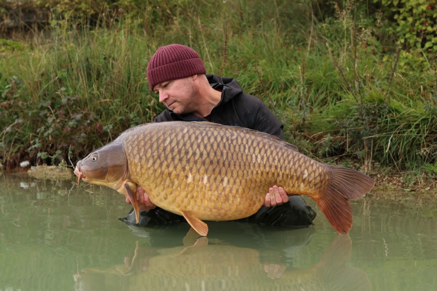 Dave Bendall - The Beach - 49lb 8oz - 28/09/2024
