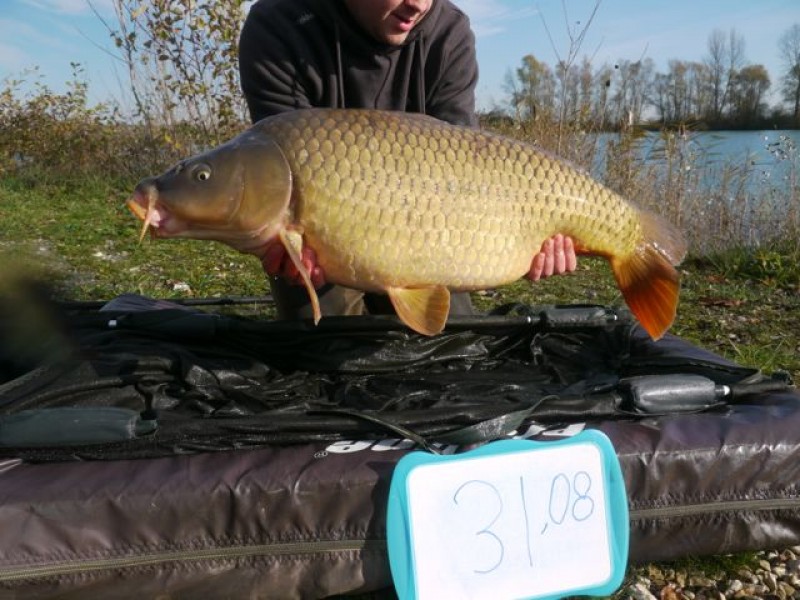 Fish 127 - Stocked at 31lb 8oz