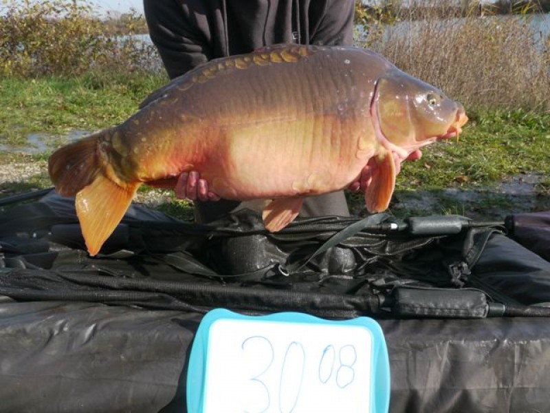 Fish 129 - Stocked at 30lb 8oz