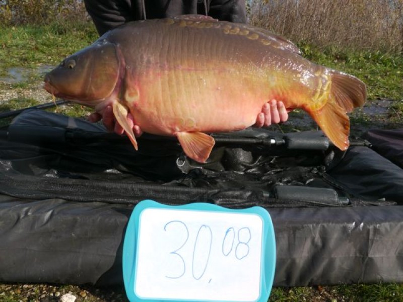 Fish 129 - Stocked at 30lb 8oz