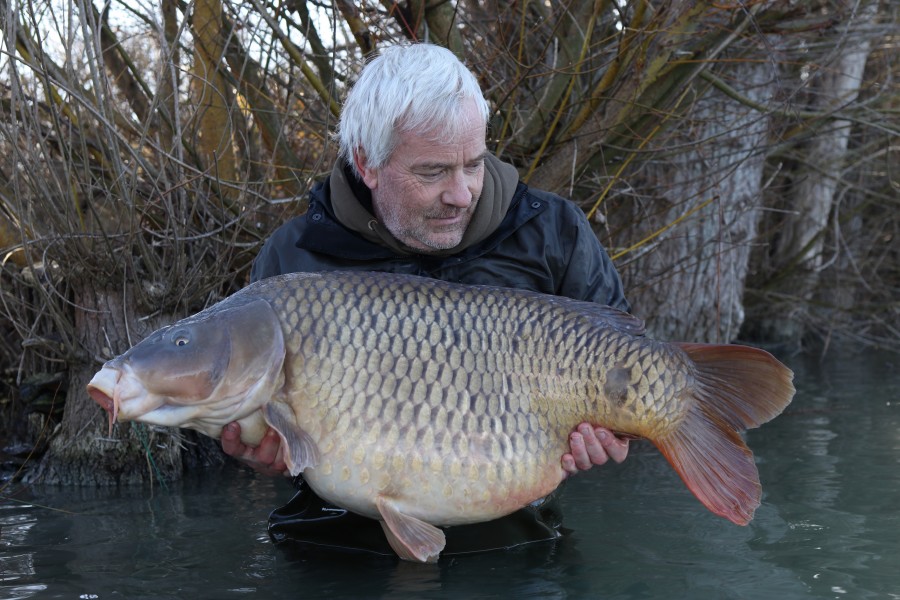 Richard Winter - 518oz common - turtles - 19/02/2022