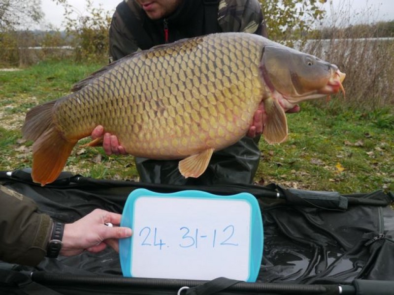 Fish 130 - Stocked at 31lb 12oz