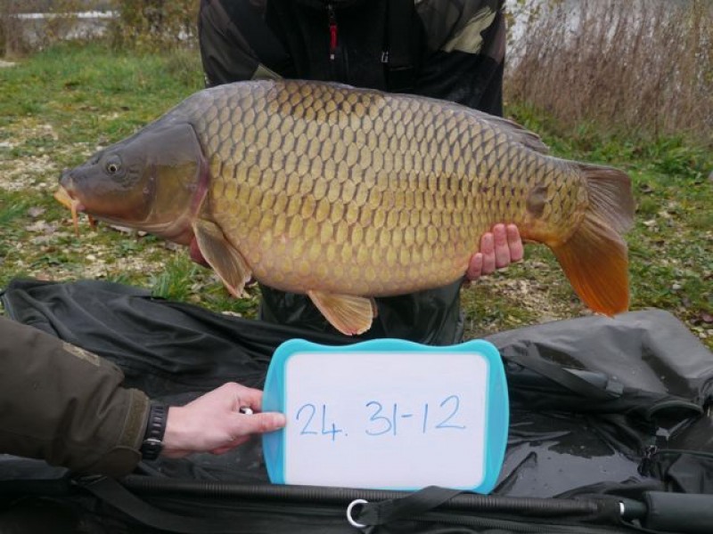 Fish 130 - Stocked at 31lb 12oz