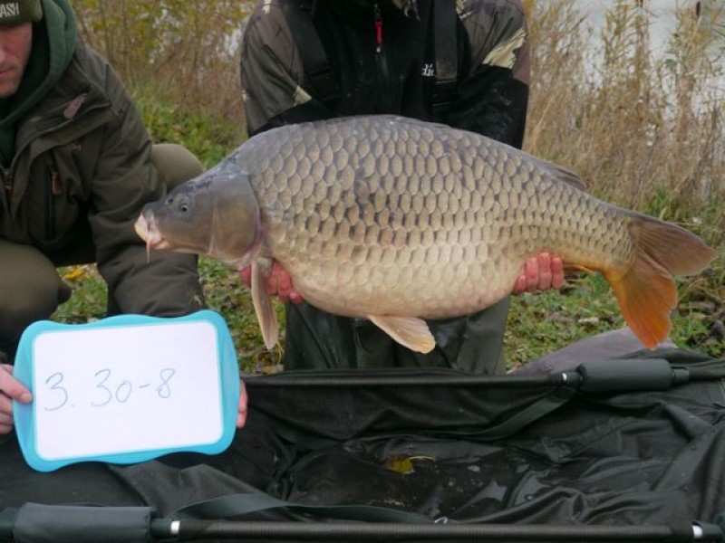 Fish 131 - Stocked at 30lb 8oz