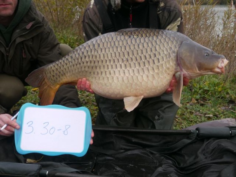 Fish 131 - Stocked at 30lb 8oz