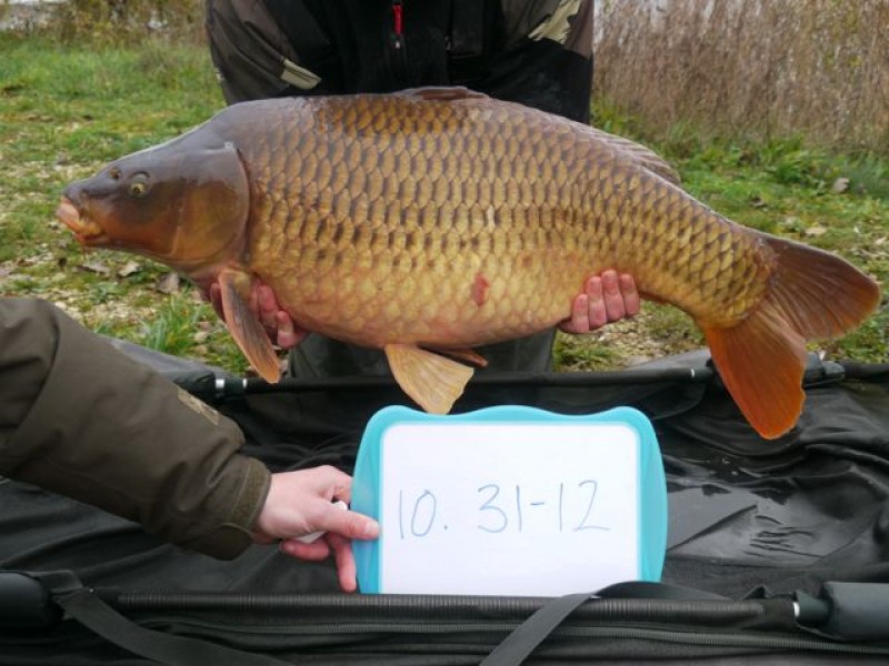 Fish 133 - Stocked at 31lb 12oz