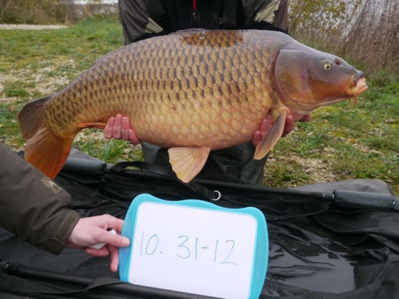 Fish 133 - Stocked at 31lb 12oz