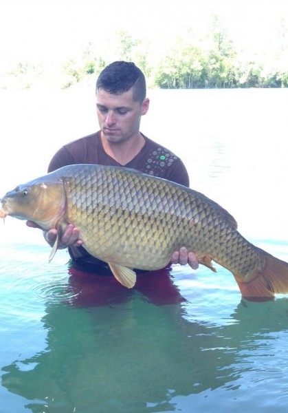 31lb July 2014