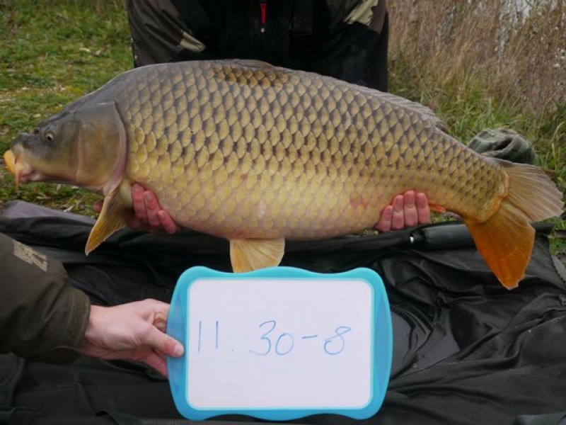 Fish 134 - Stocked at 30lb 8oz