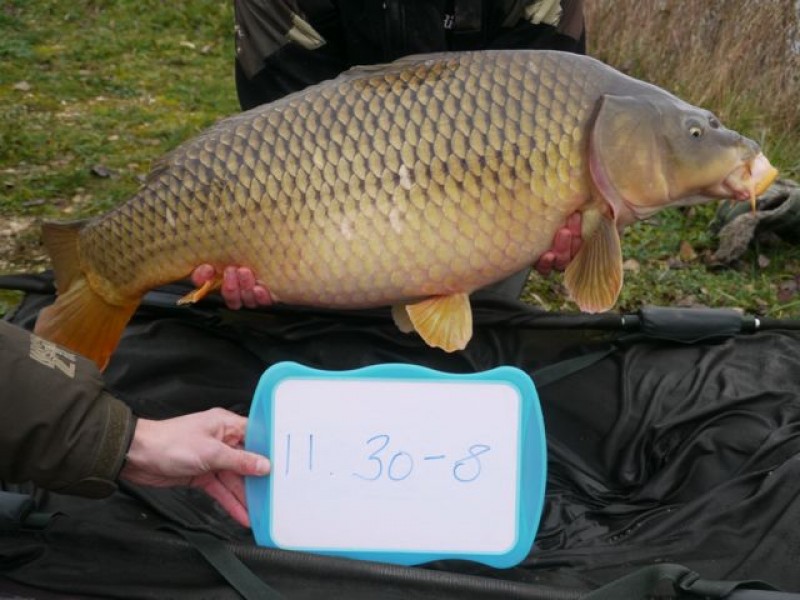 Fish 134 - Stocked at 30lb 8oz