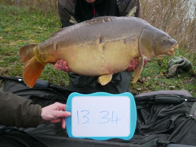 Fish 136 - Stocked at 34lb 0oz