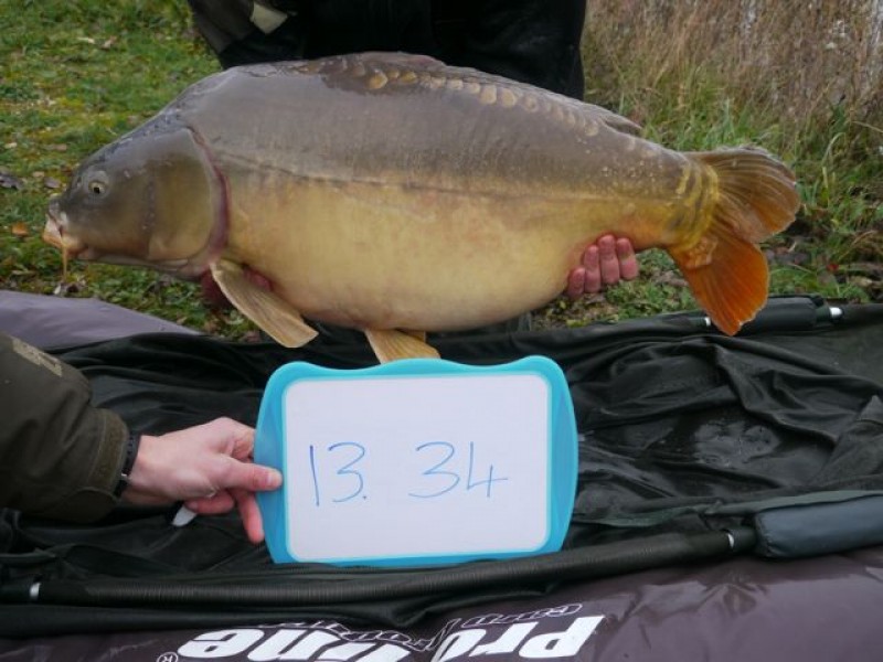 Fish 136 - Stocked at 34lb 0oz