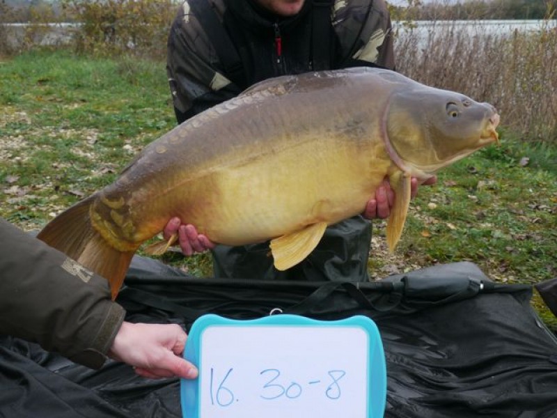 Fish 137 - Stocked at 30lb 8oz